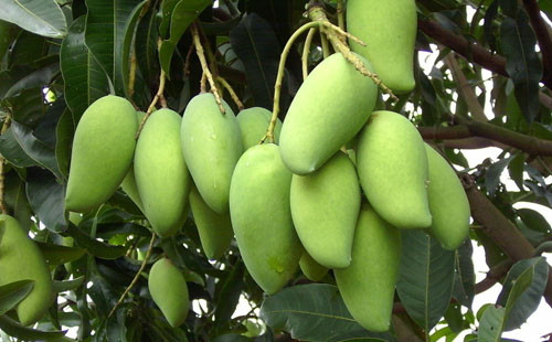 1529540285154983.jpg 2tfd44nq9_副本.jpg